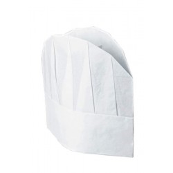 CONFEZ. CAPPELLO 23 cm (10 pezzi)