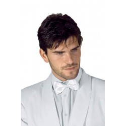 PAPILLON raso 100% seta